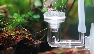 Productafbeelding van Ziss Aqua Co2 Diffuser