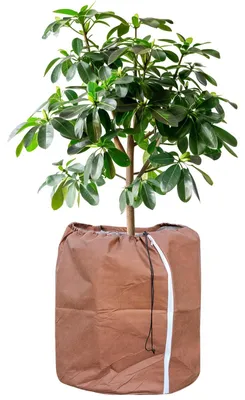 Productafbeelding van Thermische bescherming voor bloempotten, beschermhoes voor planten in potten, winterbescherming voor bloempotten met trekkoord – 60 x 90 cm