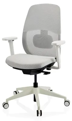 Produktbild von Bürostuhl Skandis – Ergonomischer Drehstuhl ohne Kopfstütze, 3D-Netzrücken, 4D-Armlehnen, Synchronmechanik, Lordosenstütze, Grau/Weiß