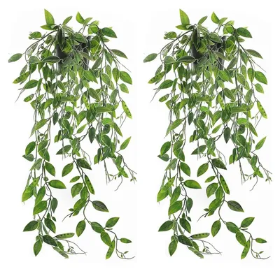 Image de Plantes artificielles, lot de 2 - Plantes artificielles suspendues - Plantes décoratives d'intérieur - Plantes en pot pour la maison - Décoration pour l'intérieur et l'extérieur - Aspect réaliste