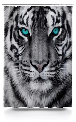 Produktbild von Duschvorhang TIGER - schwarz-weiß - 180x200 cm