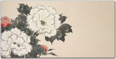 Produktbild von Coloray - Bild aus Glas - 120x60 cm - gehärtetes Glas glasblock mit bild wohnzimmer Küche Dekoration wanddekoration - Blumen Pflanzen