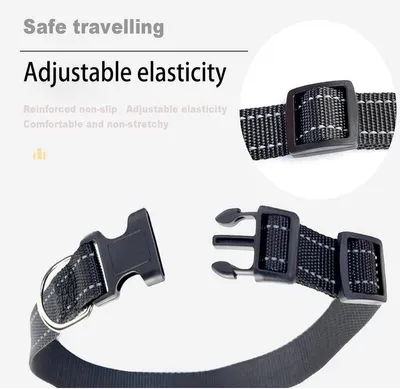 Hunde-Halsband, Hauptbild