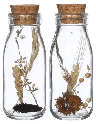 Produktbild von Milchflaschen mit Trockenblumen Natur 6x14cm (12 Stück) [IFS-30391]