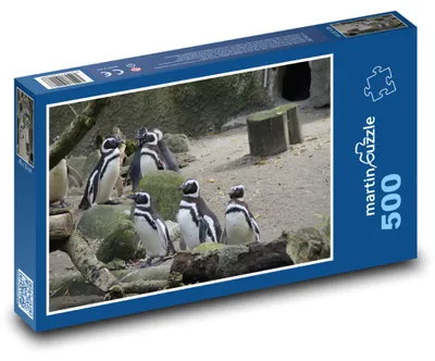 Produktbild von martinpuzzle - Puzzle 500 Teile - Pinguinkolonie