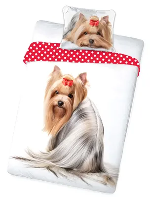 Image de Animal Pictures Bettbezug Yorkshire Terrier - Einzel - 140 x 200 cm - Baumwolle