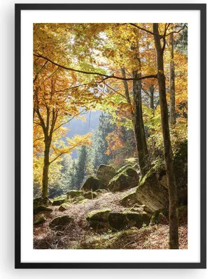 Produktbild von Gerahmtes Poster - Schwarzer Rahmen - Herbst berg wald natur - 50x70 cm - Wand Bild - Wanddeko - Wandbilder - Kunstposter - Wandposter - Bilderrahmen - Bilder - Kunstdruck - Wandbild - P2BPA50x70-2713