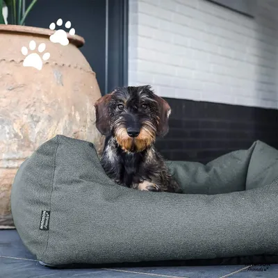 Immagine prodotto di Cuccia per cani da esterno Madison Manchester 120x95x28 cm grigio