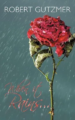 Produktbild von When it rains...