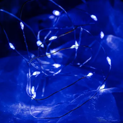 Produktbild von Batteriebetriebene LED-Lichterkette, blau, 20 Dioden, 2,3 m