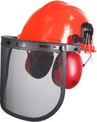 Image de Casque forestier complet, visière + grillage