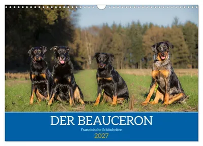 Produktbild von Der Beauceron (Wandkalender 2027 DIN A3 quer), CALVENDO Monatskalender