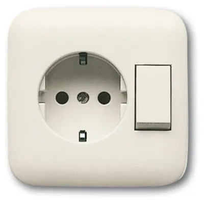 Imagen del producto de BJ Duro 2000 SI Combinado. 4310/6EUJ-212 Schuko + interruptor, color blanco