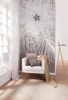Produktbild von Komar Vlies Fototapete "Federkern", grau/weiß, 100 x 250 cm; V2-766