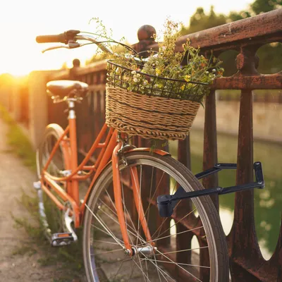 Obrázok produktu pre Skladací zámok na bicykel s držiakom