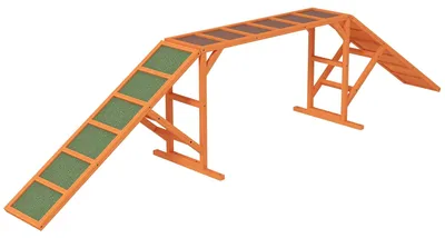 Obrázek produktu pro Agility pro psy – překážka "Most" | Barva: Oranžovo-zelená | Rozměry: 325 x 55 x 69 cm