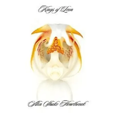Produktbild von Kings Of Leon-Aha Shake Heartbreak