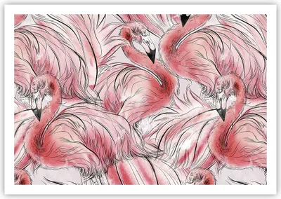 Produktbild von Poster - Poster ohne Rahmen - Flamingo Pink Exotik - 100x70 cm - Wand Bild - Wanddeko - Wandbilder - Kunstposter - Wandposter - Bilder - Kunstdruck - Wanddekoration - Wandbild - P2XAA100x70-5070