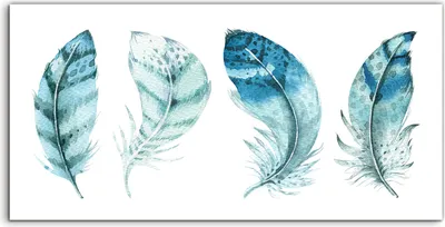 Produktbild von Coloray Spritzschutz aus Glas 100x50  Wandkunst Küchenrückwand Foto Kunstdruck Vögel Malerei Feder blau