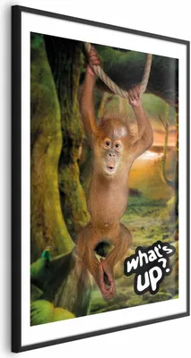 Produktbild von Posterpapier Poster - What's Up? 60x90 cm Für Kinder g-A-0203-ao-a