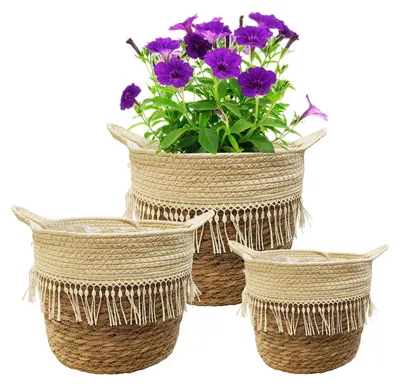 Image de Omgoods - Lot de 3 pots en osier pour fleurs et plantes