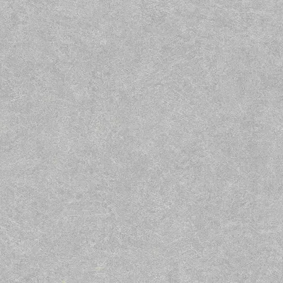 Produktbild von Rasch | Welcome Home | 699807 | Vliestapete | Uni / Einfarbig | 10.05 x 0.53 m | Grau | Diele | Flur | Küche | Schlafen | Wohnen