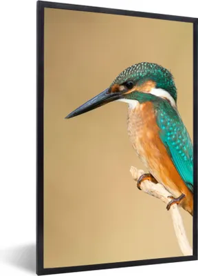 Produktbild von MuchoWow® Gerahmtes Poster Eisvogel - Tiere - Vogel 60x90 cm - Poster mit Schwarzem Bilderrahmen Wandposter Rahmen Foto Bilder - Kunst