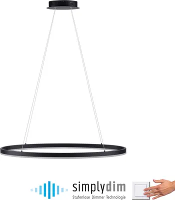 Obrázek produktu pro PAUL NEUHAUS LED závěsné světlo 2392-13 antracit, 38 W, 5150 lm, 3000 K