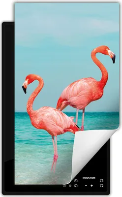 Produktbild von DarHaus Herdabdeckplatte 1 teilig 30x52 cm Anti Rutsch Matte Aufrollbar, Strand - Flamingo