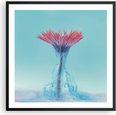 Produktbild von Gerahmtes Poster - Schwarzer Rahmen - Rosa Gänseblümchen Tinte - 60x60 cm - Wand Bild - Wanddeko - Wandbilder - Kunstposter - Wandposter - Bilderrahmen - Bilder - Kunstdruck - P2BAC60x60-4537