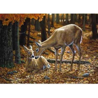 Produktbild von Malen nach Zahlen 5d Diamond Painting Reh Hirsch Malen nach Zahlen 30x40cm