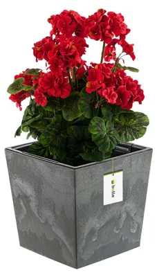 Image de Pot carré avec insert amovible