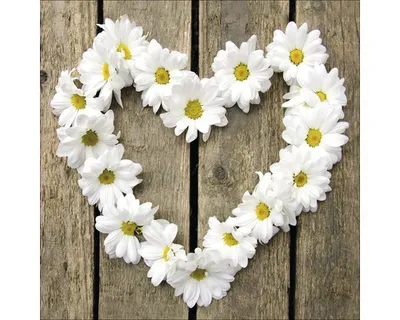 Produktbild von Glasbild Flower Heart I 30x30 cm