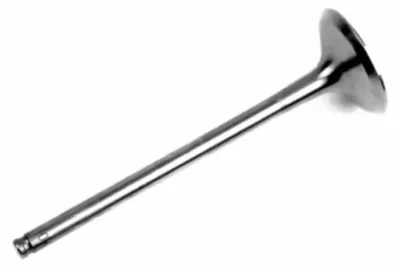 Zdjęcie produktu dla Zawór wydechowy ATHENA VE-510204T