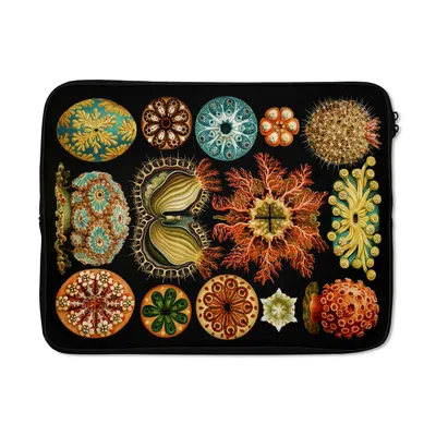 Produktbild von MuchoWow® Laptop Hülle 17 Zoll Laptoptasche Vintage - Ernst Haeckel - Meerestier - Natur - Meer - Kunst - Zipper - Schutzabdeckung