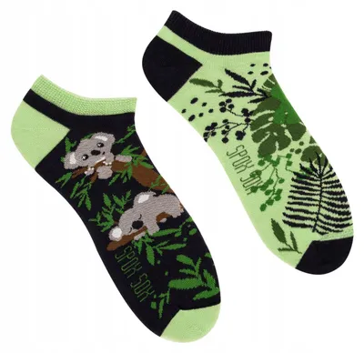 Image de Spox Sox Chaussettes basses Koala motif animal 36-39