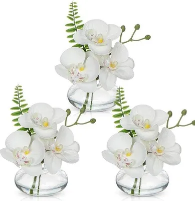 Produktbild von Famanu Set aus 3 Kunstblumen mit Glaspflanze - Orchidee Phalaenopsis