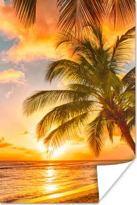 Produktbild von MuchoWow® Poster Sonnenuntergang - Palme - Wolken - Meer - Strand 120x180 cm - Kunstposter