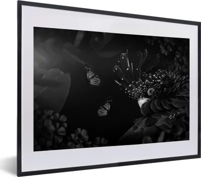 Produktbild von MuchoWow® Gerahmtes Poster Vogel und Schmetterlinge im Dschungel - schwarz und weiß 40x30 cm - Poster mit Schwarzem Bilderrahmen Wandposter Rahmen Foto Bilder - Bilderrahmen - Poster im Rahmen