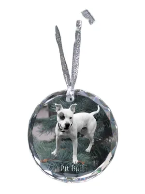 Obrázek produktu pro Pitbul křišťálová medaile se psem Art-Dog