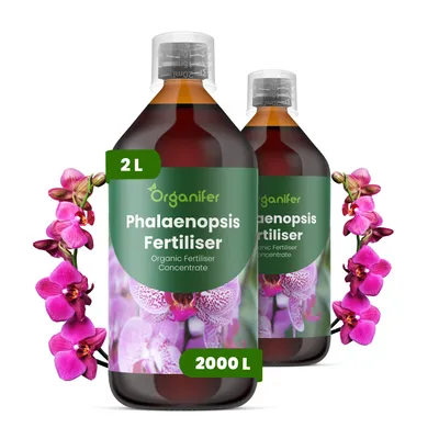 Obrázek produktu pro Phalaenopsis Tekuté Hnojivo 2x1 L – 3-4-3 NPK – Pro Phalaenopsis Orchidey – Podporuje Kontinuálnu Tvorbu Květů & Silný Růst – Organifer