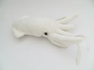 Produktbild von Cornelissen - Kuscheltier - weißer Tintenfisch - 24 cm