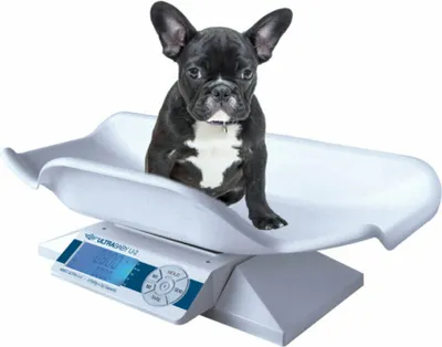 Produktbild von MyWeigh Tierwaage 27kg/5g inkl Netzteil. Abnehmbares beleuchtetes Display