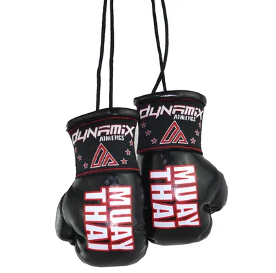 Produktbild von Dynamix Athletics Autospiegel Mini Boxhandschuhe - Muay Thai Schwarz