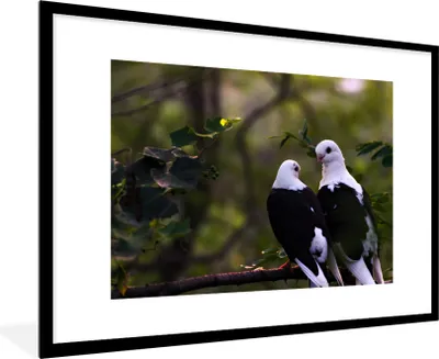 Produktbild von MuchoWow® MuchoWow® Gerahmtes Poster Vögel - Zweig - Blätter 90x60 cm - Poster mit zchwarzem Bilderrahmen - Wanddekoration - Fotos