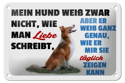 Produktbild von Blechschild Spruch 18x12cm mein Hund weiß zwar Hundeliebe