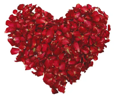 Getrocknete Rosenblätter 100 g, rot, für Spa & Hochzeit