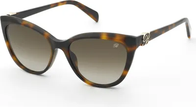 Produktbild von Blumarine SBM900 Avana scura lucida 56/17/140 Damen Sonnenbrillen
