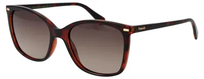 Produktbild von Polaroid Sonnenbrille PLD 4108/S 086LA 55 Damen Braun