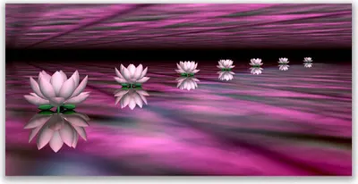 Produktbild von Tulup Leinwand-Bilder 140x70 Wandbild Canvas Kunstdruck Blumen Pflanzen